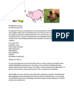 Newsletter of The Pig