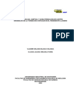 Hidropirolisis Cinetica y Caracteizacion de Aceites Originales de La Formacion Chipaque en El Piedemonte Llanero