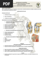 Mobilizacao Articular