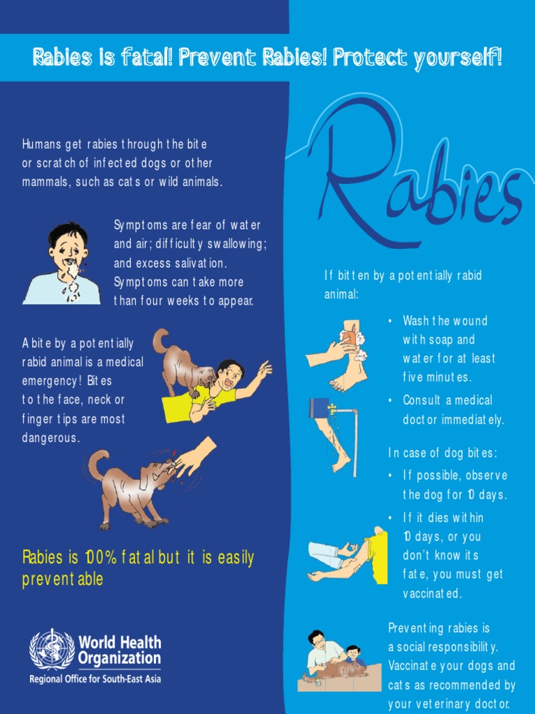 Rabies Is Fatal! Prevent Rabies! Protect Yourself! | PDF