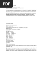 Download HagonoyChromolaena Odorata a Weed Belonging to the Asteraceae Family Which by dark warior SN20271153 doc pdf