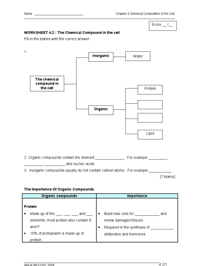 worksheet Nucleic Acid Worksheet worksheet 4 2 the chemical compound in cell nucleic acids dna