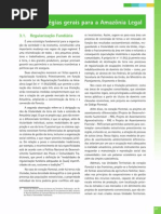 3. Estratégias Gerais para a Amazônia Legal