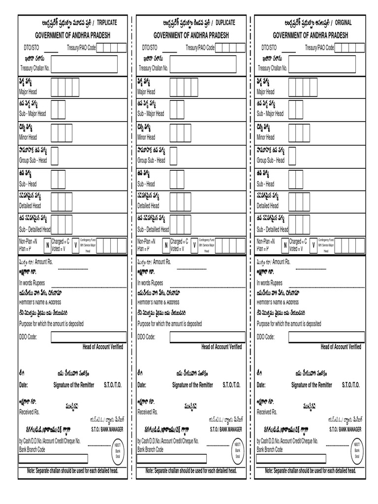 Treasury Challan Form Instructions | PDF | Business | Finance & Money ...