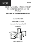 Download Bomb Calorimeter Report by Rami Chaoul SN202767199 doc pdf