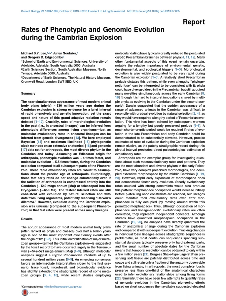 Cambrian Explosion Evolution Rates | PDF | Evolution | Molecular ...
