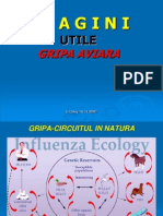 Utile Gripa Aviara