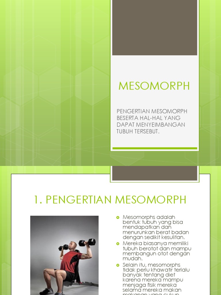 Mesomorph | PDF