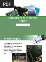 Download Malaysia Nature Attractions - Cuti-cuti Malaysia by Hanne FN SN20279419 doc pdf