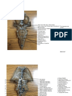 Brainstem Reviewer