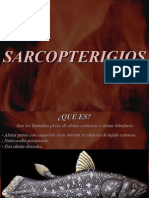 5.a-Cordado - Osteichthyes Sarcopterygii (Crossopterig Celacanto) (Dipnoi)