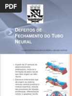 Defeitos Fecham Tubo Neur