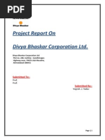 Download Project Report on Divya Bhaskar Ahmedabad By Yogesh by yogesh0794 SN202830791 doc pdf