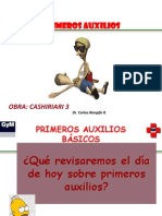 Reanimación Cardiopulmonar