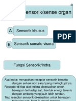 Dr. Marwito - Sensorik Organ