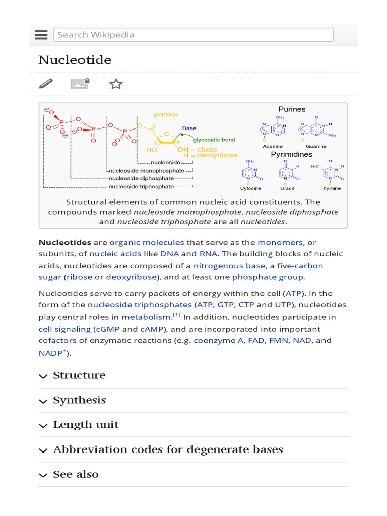 Nucleotide: Structure Synthesis Length Unit Abbreviation Codes For ...