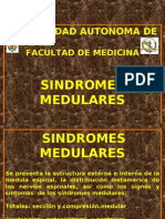Sindromes Medulares