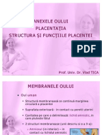 Anexele Oului Placenta Ti A Structura Si Functiile Placentei