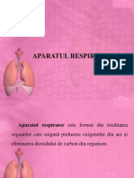 Anatomia aparatului respirator.ppt
