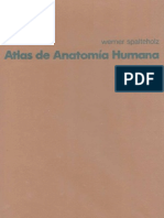 atlas_ de_ anatomia_humana_tomo_3.pdf