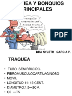 traquea