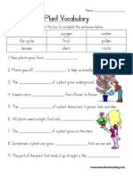 Plant Vocabulary Worksheet