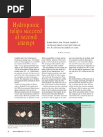 Download Growing Tulip Hydroponically by triaulia SN20297688 doc pdf