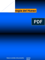 Histologia Del Hueso 1