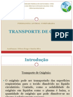 Apresentacao-Transporte de Gases