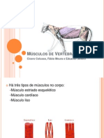 Músculos de Vertebrados