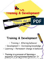 Training and Dvelopment