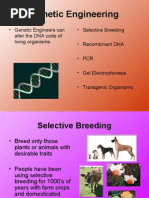 Download Genetic Engineering by Bobby SN20305534 doc pdf
