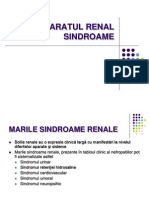 C14 RENAL Sindroame