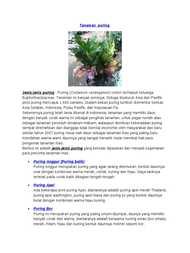 Jenis-Jenis Tanaman Puring dan Manfaatnya | PDF | Griya & Taman ...