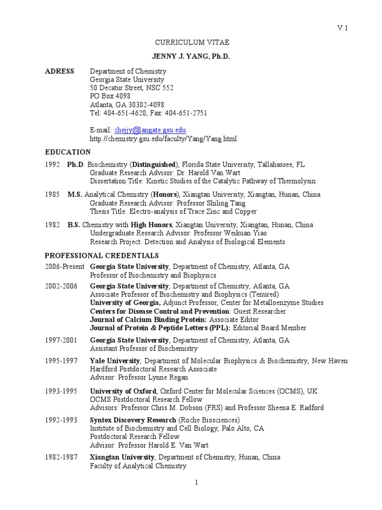 Academic cv examples picture
