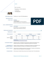 CV Example 1 de at