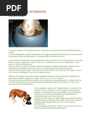 Le Basi Della Nutrizione