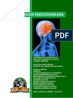 Hipertension Endocraneana Grupo D