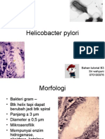 Helicobacter Pylori