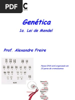 1a Lei de Mendel
