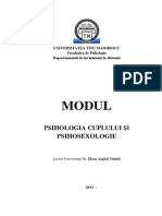 CURS ID Psihologia Cuplului - Elena Anghel Stanila