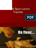 Pisicile Spun Lucruri Traznite