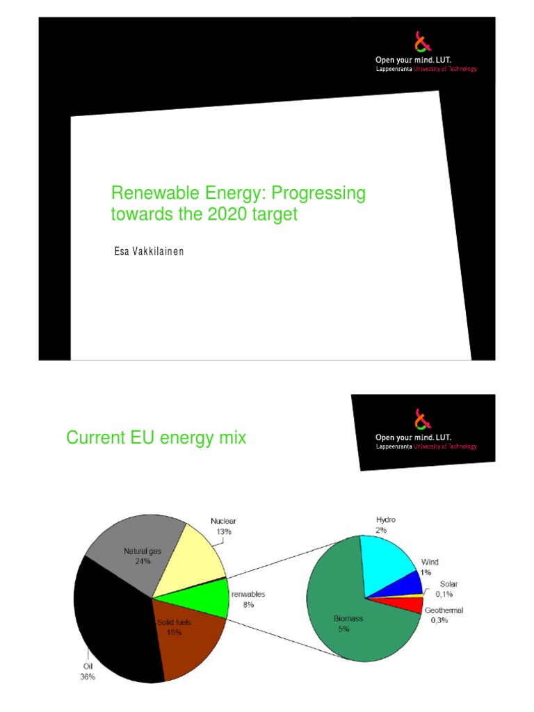 EU Renewable Energy Targets 2020 | PDF | Renewable Energy | Biomass