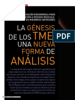 n107 Art2 La Genesis de Los TME