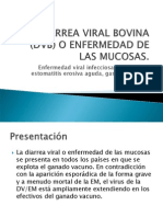 Diarrea Viral Bovina (Enf. de Las Mucosas)