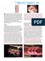 Anatonia Reproductiva