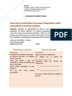 Guia para La Aplicación de Pruebas Diagnosticas