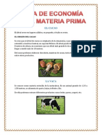 Materia Prima