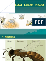 01 Biologi Lebah Madu - Trisnowati