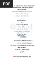 Download catharanthus roseus by sharamma SN203362182 doc pdf